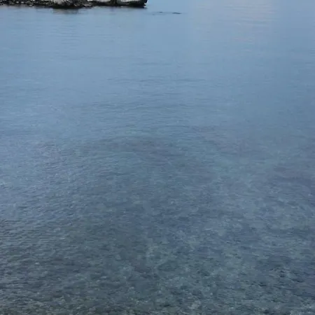 Manassa L' Escala